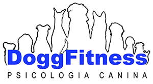 Dogg Fitness