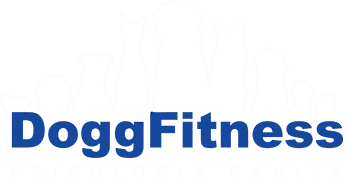 Dogg Fitness